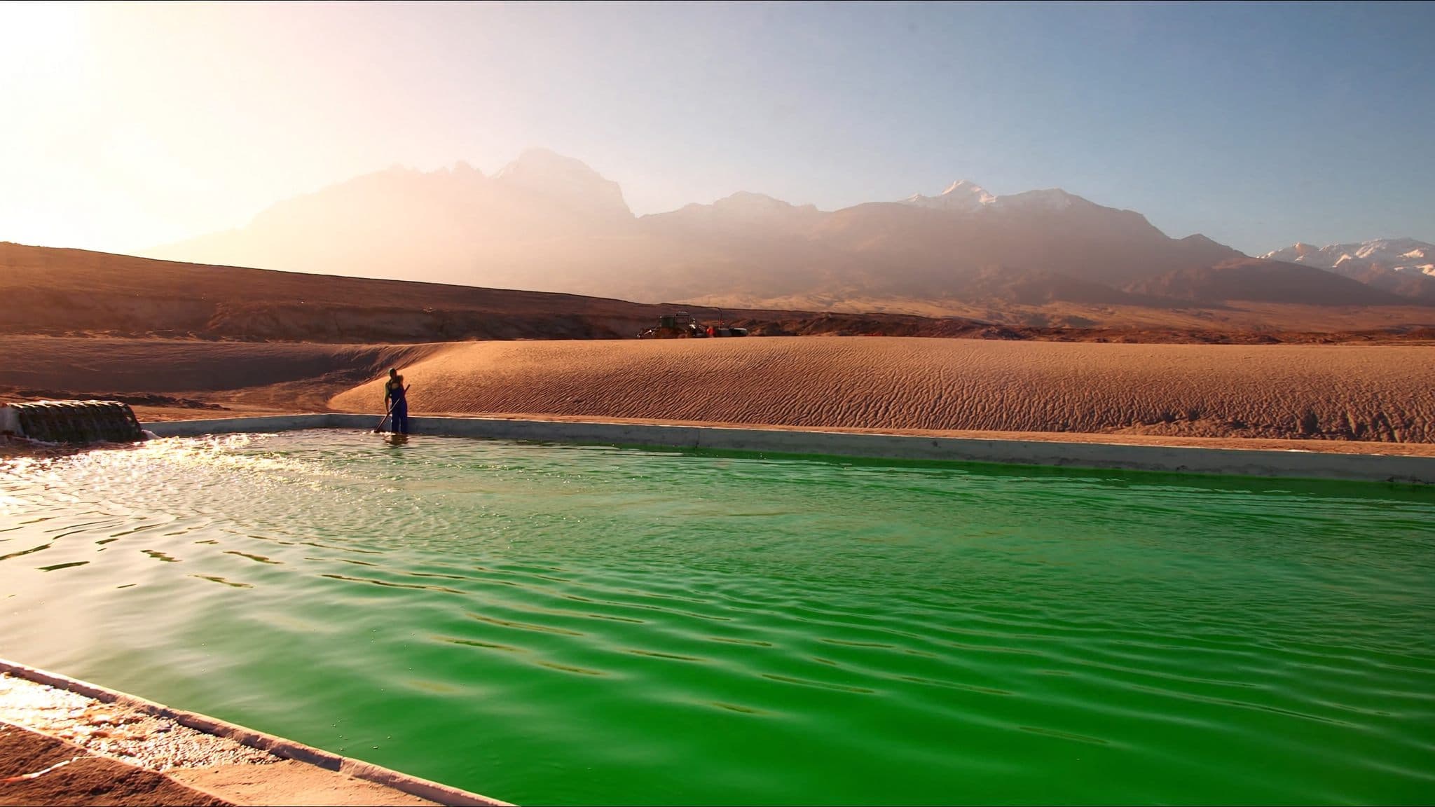 Cultivo de espirulina bajo el sol de Arequipa